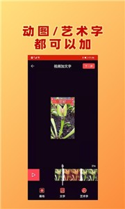 HC视频加文字破解版截图1