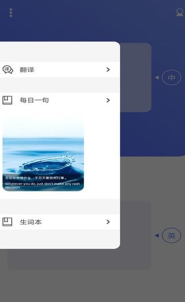 小猪翻译器网页版截图1