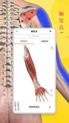 3dbody解剖学软件官方版截图2