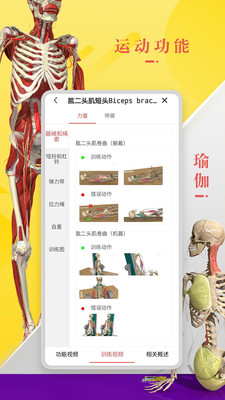 3dbody解剖学软件官方版截图3