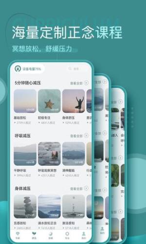 昭阳冥想网页版截图1