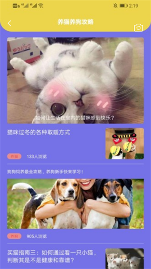 遇见你的猫狗汉化版截图2