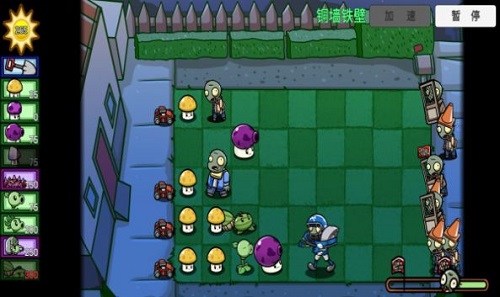 pvz_bt芦苇花网页版截图3