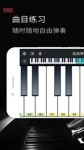 模拟钢琴正式服版截图3