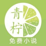 青柠小说阅读器汉化版