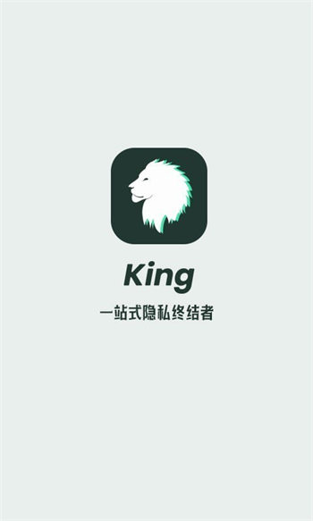 King隐私隐藏网页版截图4