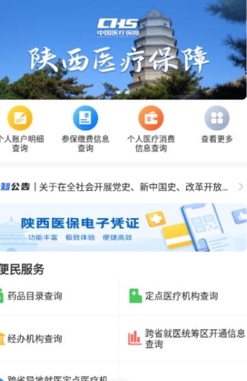 陕西医保汉化版截图2