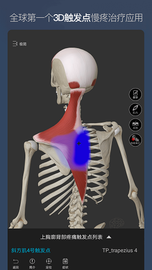 维萨里3D解剖网页版截图3