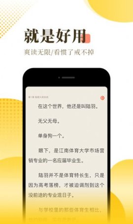 红焚小说无限制版截图4