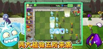 植物大战僵尸2迎元旦官方版截图2