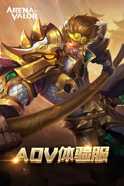 Arena of Valor体验服破解版截图1