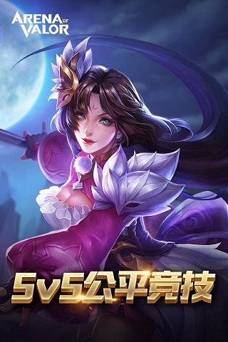 Arena of Valor体验服破解版截图2