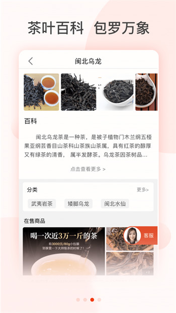 茶急送破解版截图1