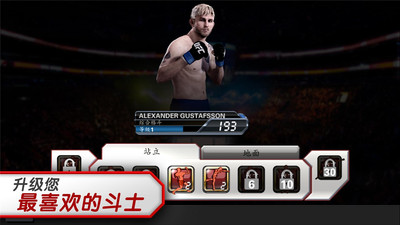 ufc终极斗士汉化版截图5