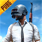 PUBGMOBILE测试服官方正版