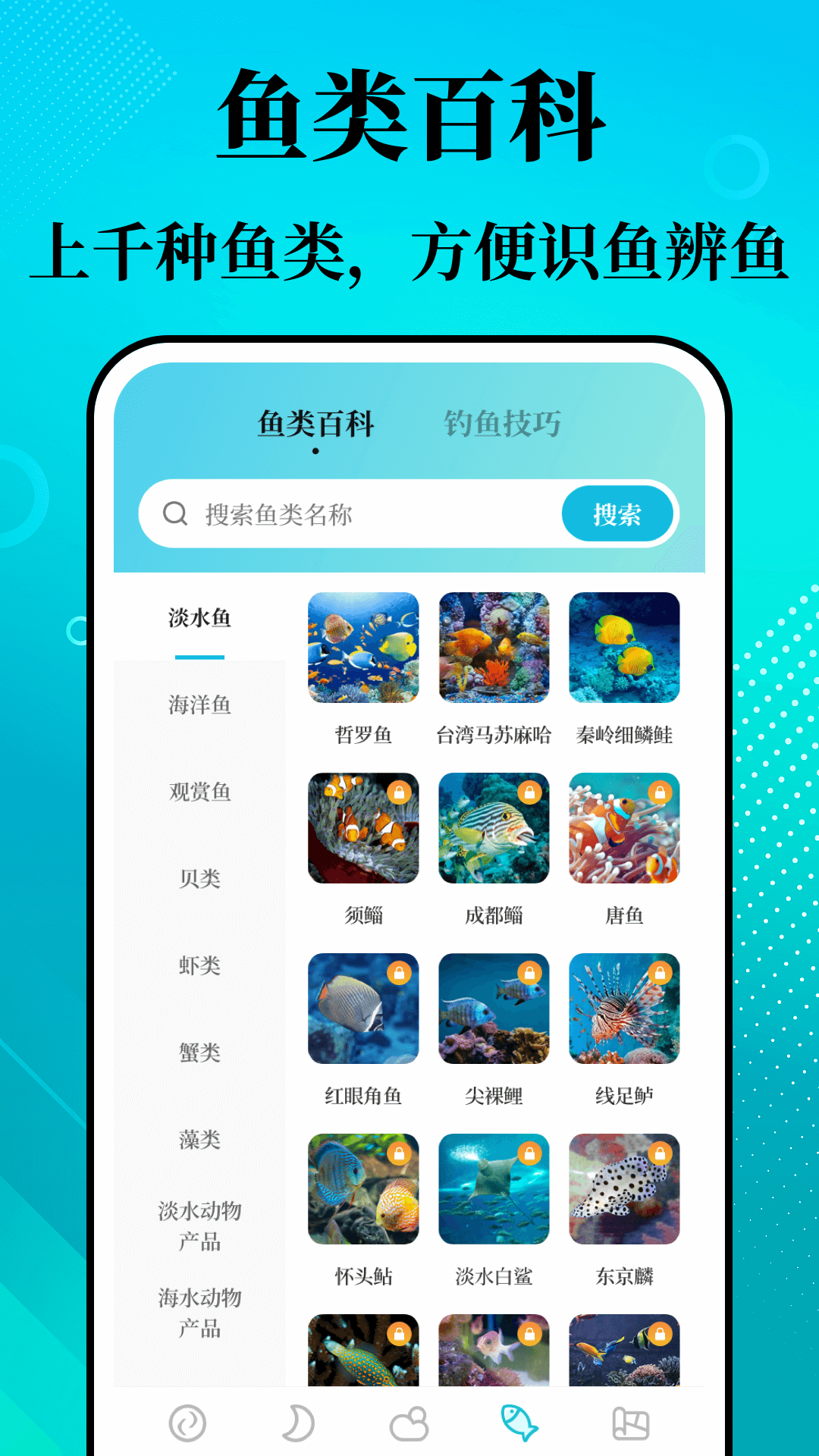 潮汐精灵官方正版截图3