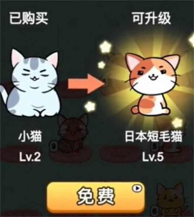 猫咪趣味合成无限制版截图3