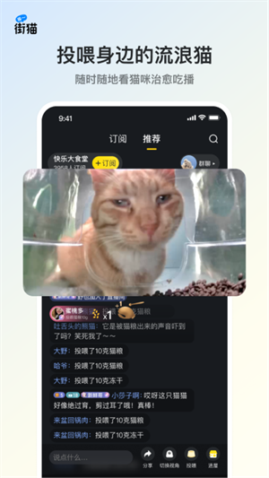 街猫安卓版截图2