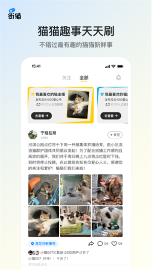 街猫安卓版截图5